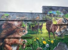 'Fellow Glasgow Residents' painted by artist Smug, This features different wildlife that can be found in the parks of Glasgow