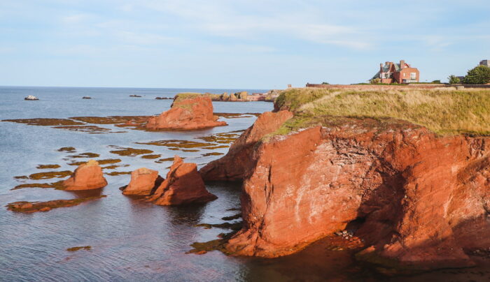 Coastal cliffs, Dunbar (credit - Zoe Kirkbride)