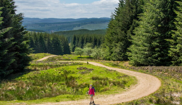 An Absolute Escapes client walking from Kirkmichael to Spittal of Glenshee (credit - Peter Backhouse)