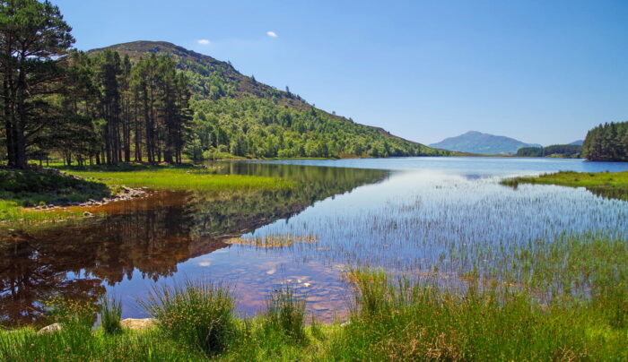 Views over Loch Gynack