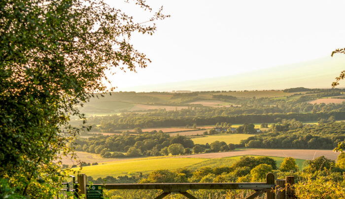 South Downs Way scenery near Winchester