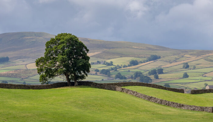 View of rolling hills near Hawes