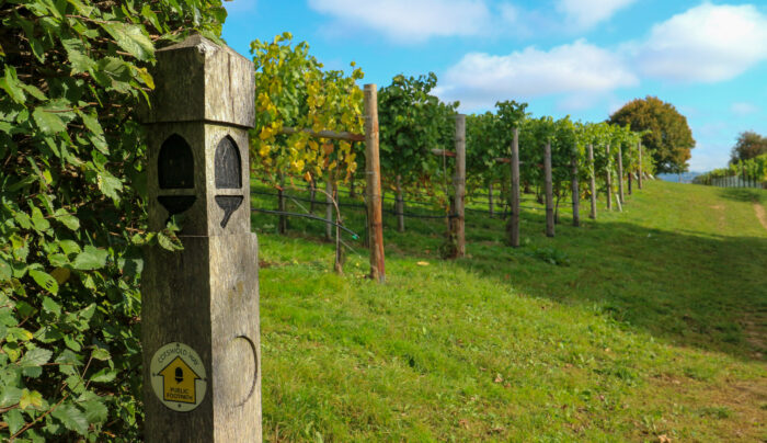 Cotswold Way signpost