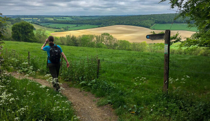 South Downs Way waymarker