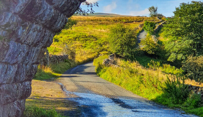 The Herriot Way near Hawes