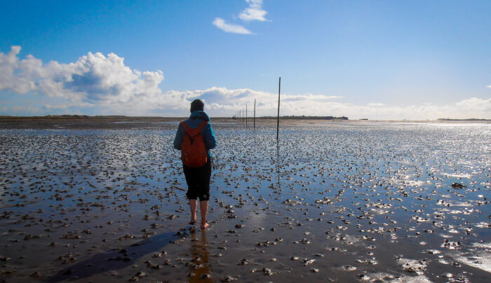 Walking across the Pilgrim's Path to Holy Island at low tide (Credit - Mari Leijo)