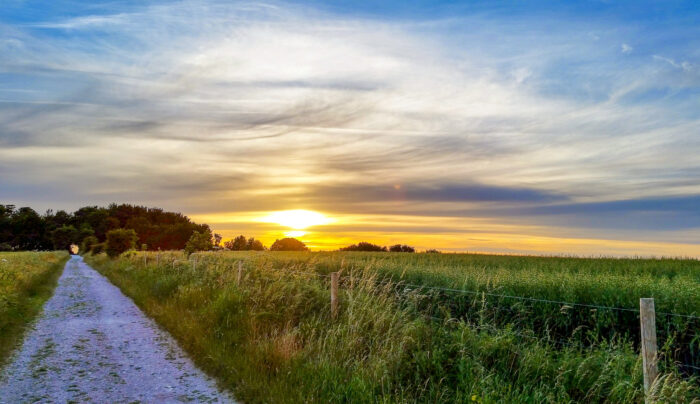 Sunset on the trail