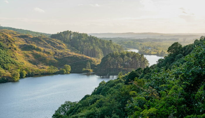 Loch Trool in the Galloway Forest Park