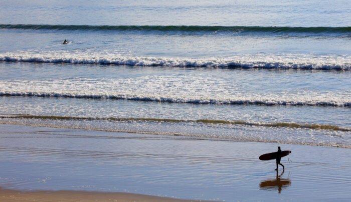 The wildlife sanctuary of Inch Strand