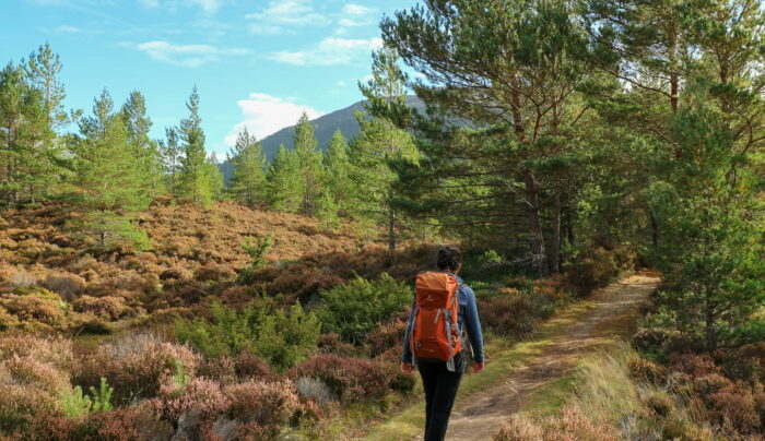 Hiker on the East Highland Way from Kincraig to Aviemore (credit - James Fathers)