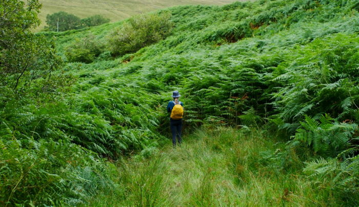 Absolute Escapes client walking towards Achnacochine on the East Highland Way (credit - Erik Driessen)