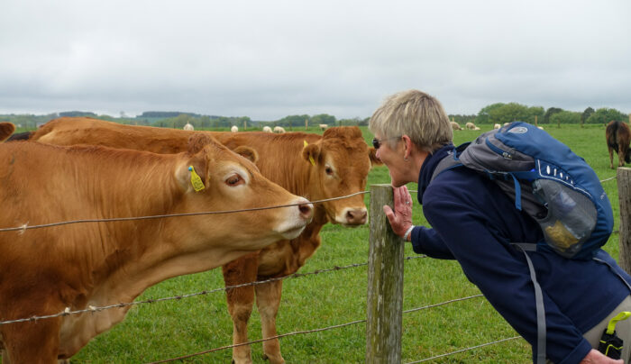 Absolute Escapes client walking the St Oswald's Way