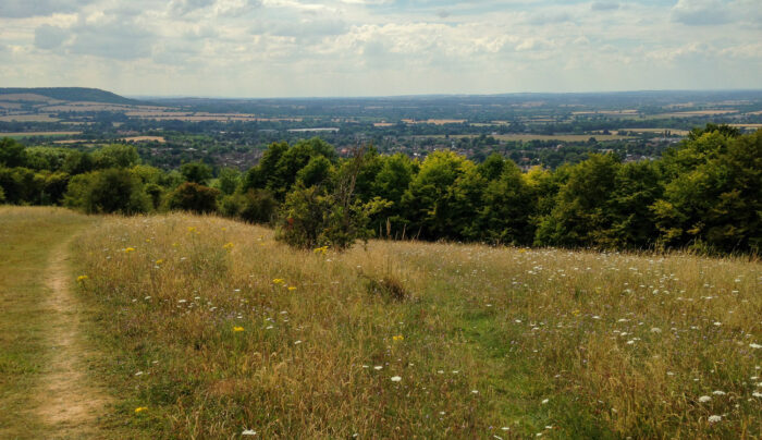 Views north-west from Whiteleaf Nature Reserve