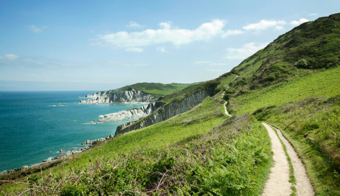 Coastal path towards Mortehoe, Devon