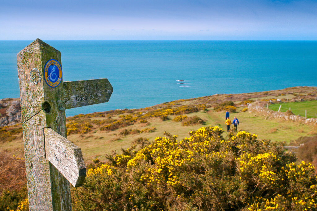 Pembrokeshire Coast Path Walking Holidays - 2024 & 2025