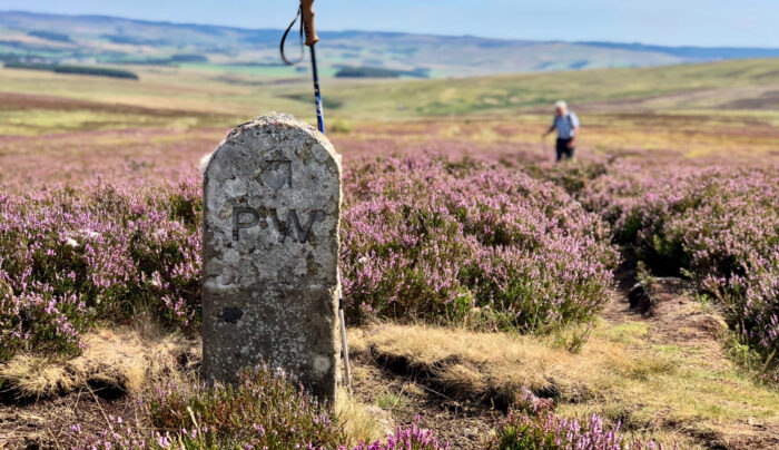 Pennine Way stone at Whitley Pike