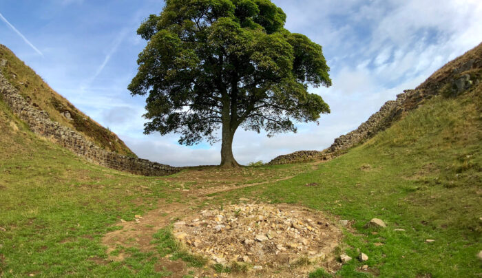 Sycamore Gap on Hadrian's Wall