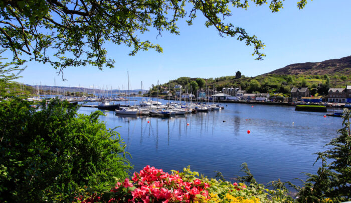 Tarbert harbour