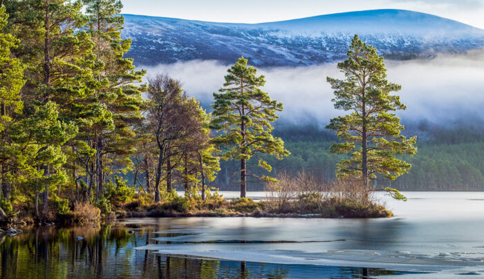 Winter scenery in the Cairngorms National Park