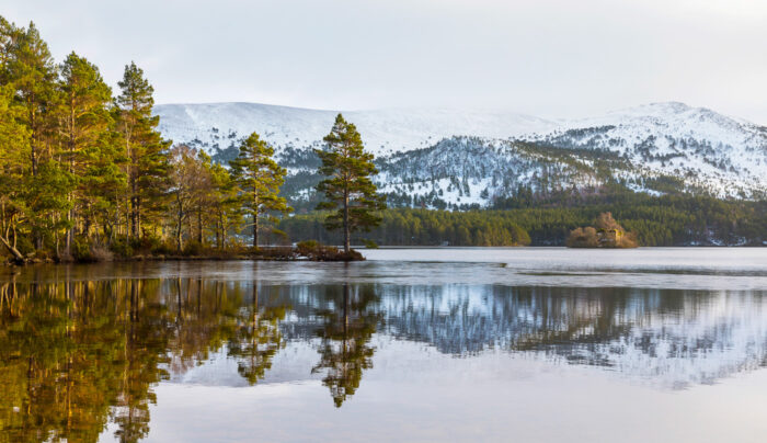 Loch An Eilean, Cairngorms National Park