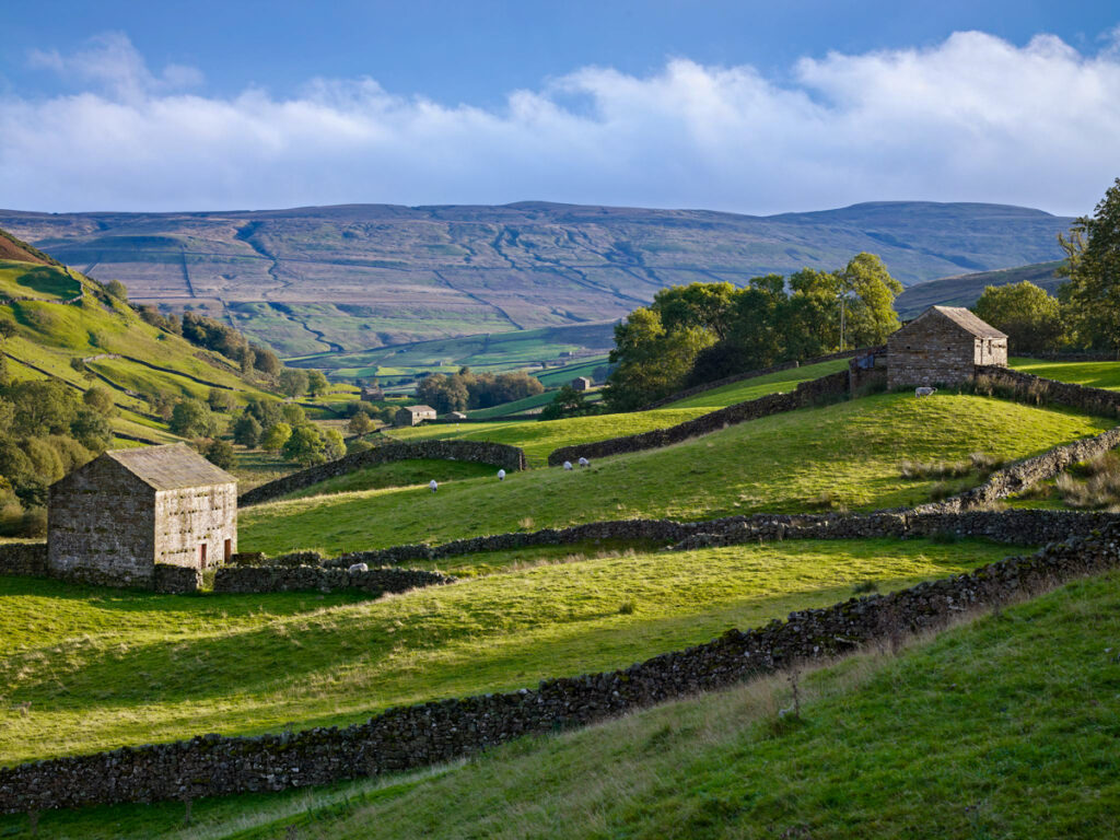 Delightful Dales: 5 Reasons to Walk the Herriot Way - Absolute Escapes