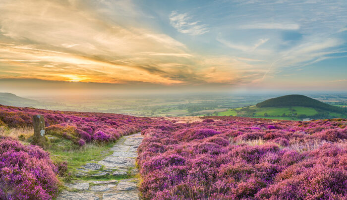 North York Moors National Park