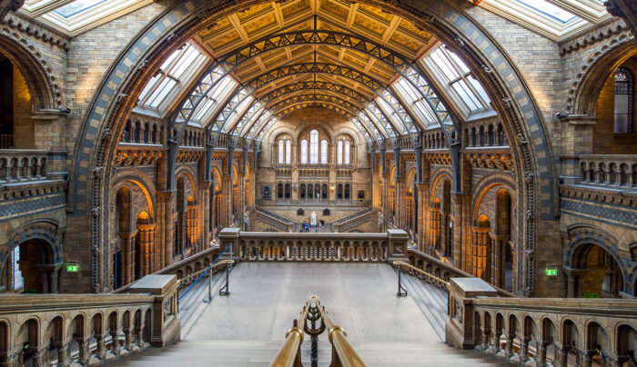 The Natural History Museum