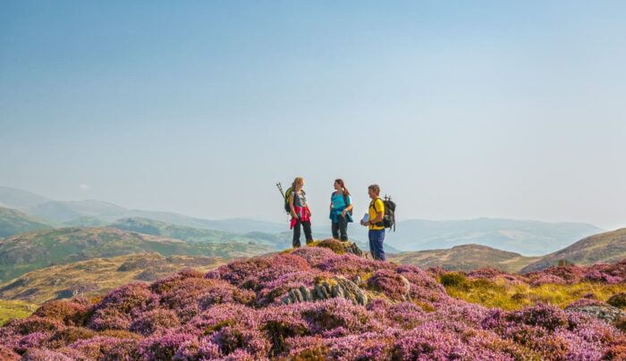 Walkers above Dovey estuary near Aberdovey, Snowdonia