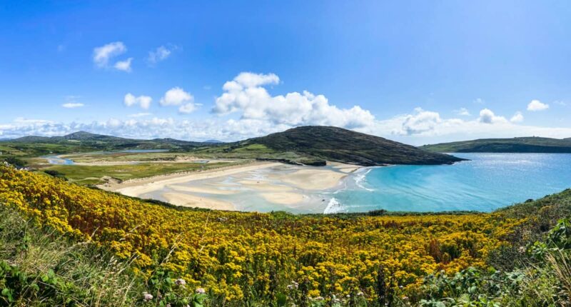 Aerial view of Barleycove beach, Mizen Peninsula, West Cork