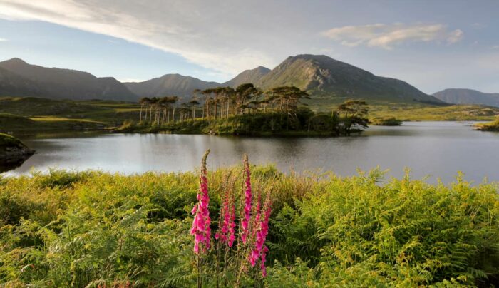 Connemara, Co. Galway (credit - Fáilte Ireland)