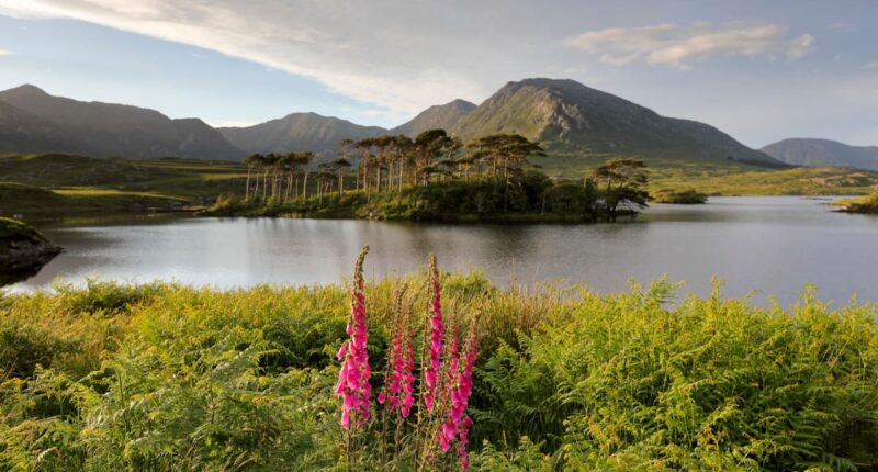 Connemara, Co. Galway (credit - Fáilte Ireland)