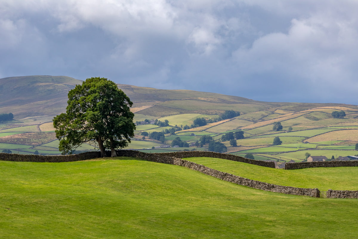 Lush green scenery on the Herriot Way in Yorkshire