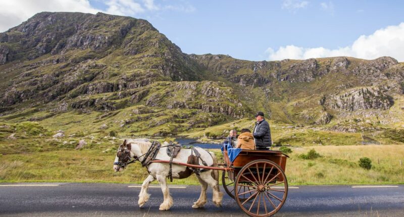 Jaunting cart tour, Killarney National Park, Co Kerry (credit - Hu O'Reilly, Fáilte Ireland)