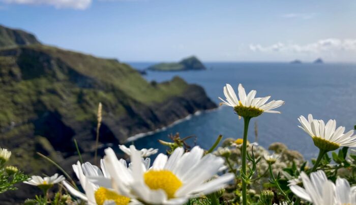 Kerry cliffs