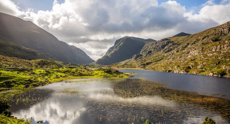 Killarney National Park, Co. Kerry (credit - Fáilte Ireland)