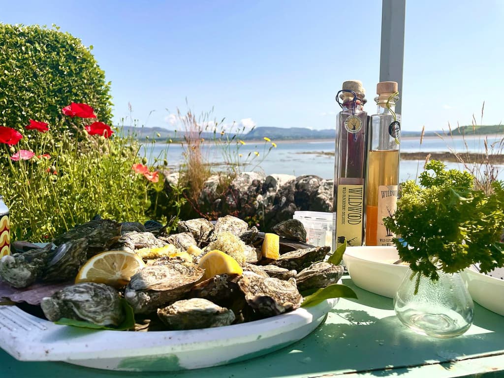 Oysters, Taste of Sligo Food Tour